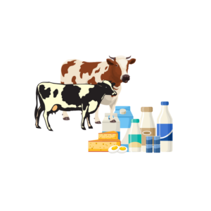 Dairy Equipments